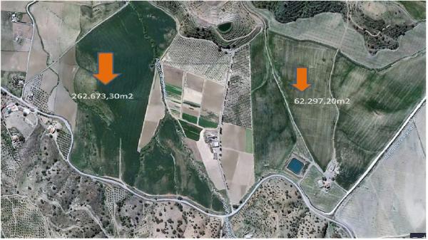 Terreno en camino de Gibralgalia