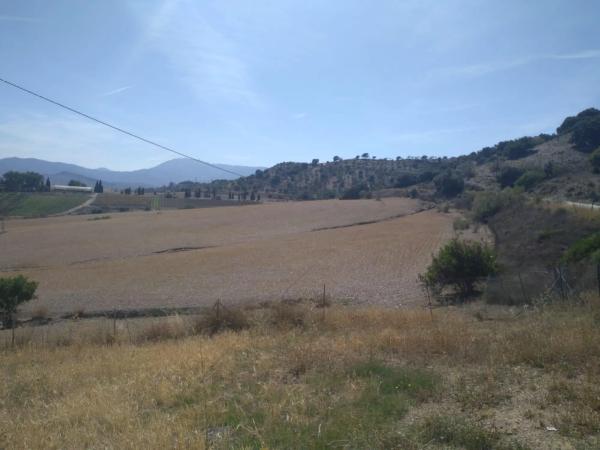 Terreno en camino de Gibralgalia