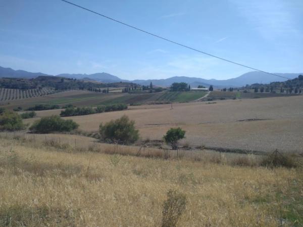 Terreno en camino de Gibralgalia