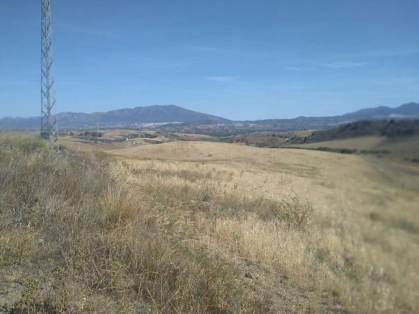 Terreno en camino de Gibralgalia