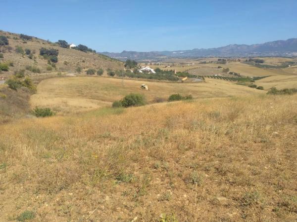 Terreno en camino de Gibralgalia