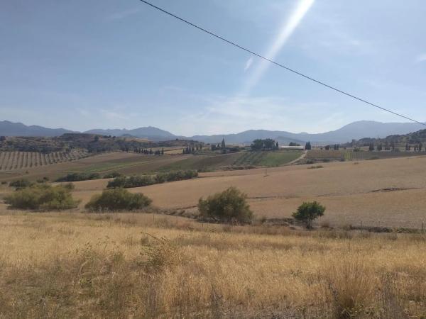 Terreno en camino de Gibralgalia