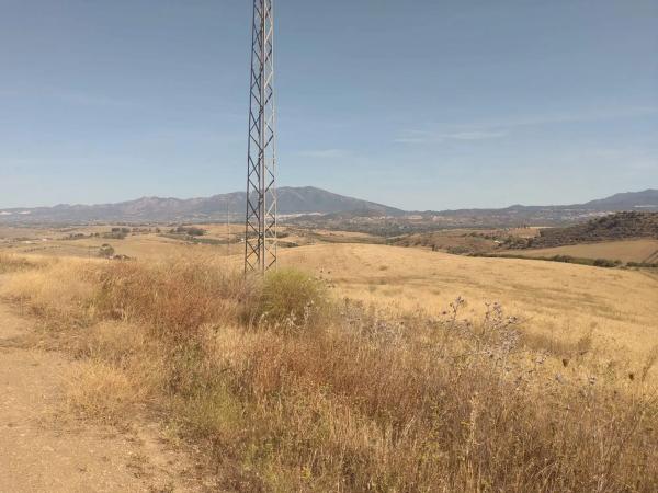 Terreno en camino de Gibralgalia