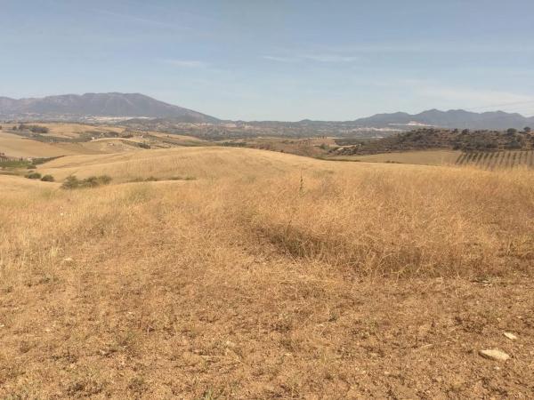 Terreno en camino de Gibralgalia