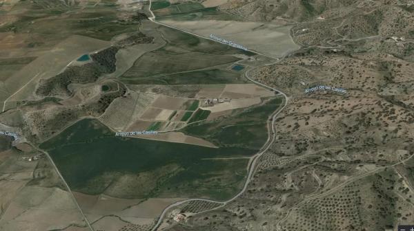 Terreno en camino de Gibralgalia