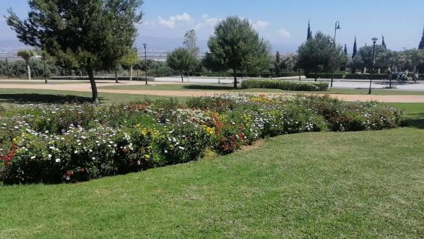 Terreno en calle Uganda s/n