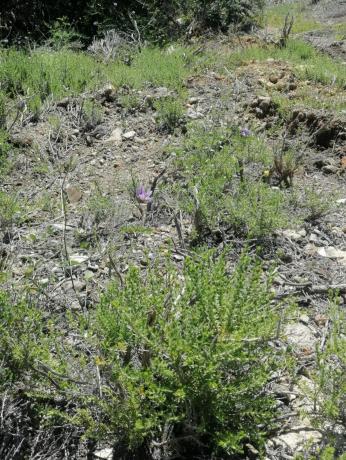 Terreno en calle Uganda s/n