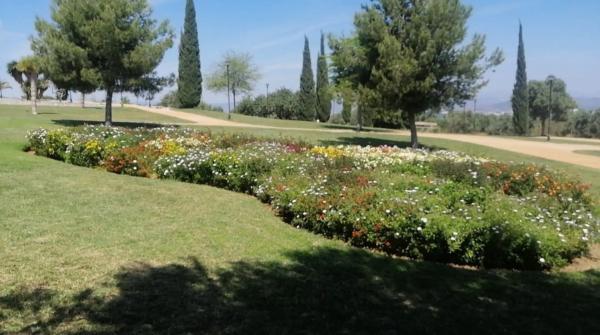 Terreno en calle Uganda s/n