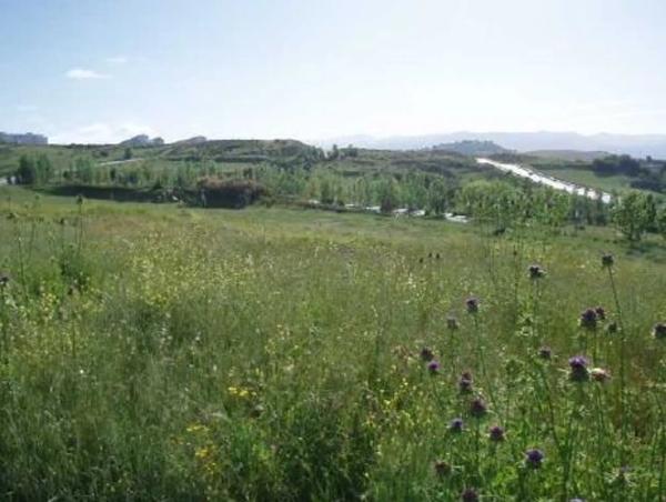 Terreno en Lugar Partido Rural Navares y Tejares