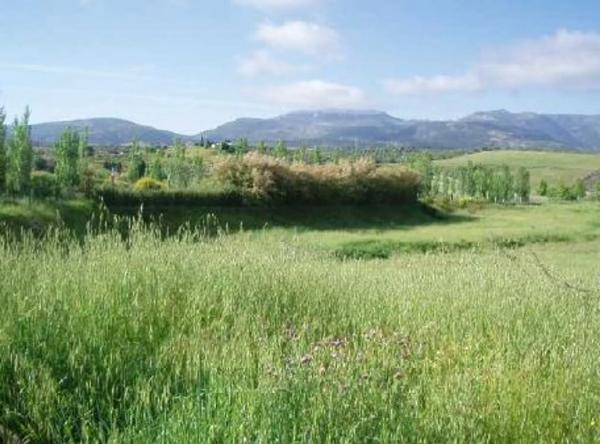 Terreno en Lugar Partido Rural Navares y Tejares