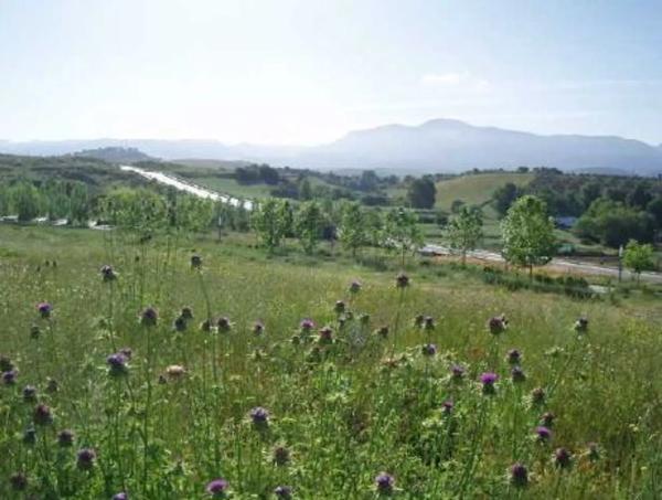 Terreno en Lugar Partido Rural Navares y Tejares