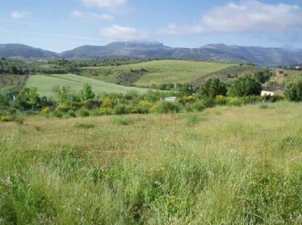 Terreno en Lugar Partido Rural Navares y Tejares