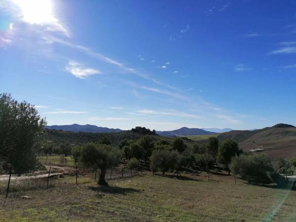 Terreno en Arrabal Pp-r8 Resid Moriscos