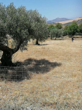 Terreno en Arrabal Pp-r8 Resid Moriscos