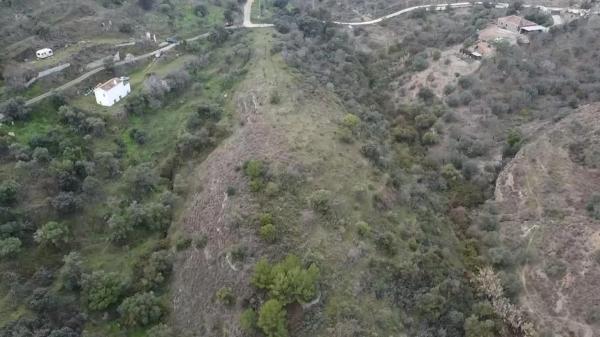 Terreno en olivar los pechos s/n