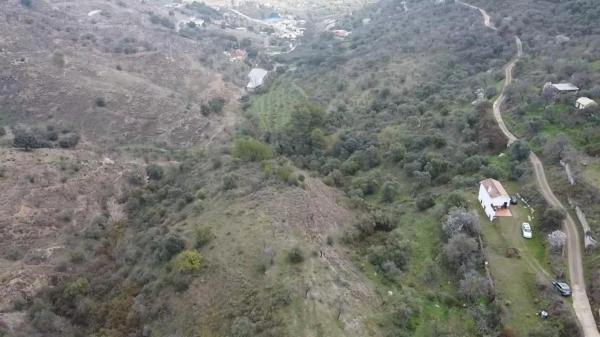 Terreno en olivar los pechos s/n