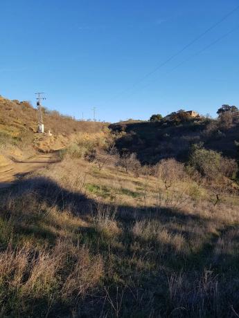 Terreno en Terreno con parte de casa en ruinas, 1