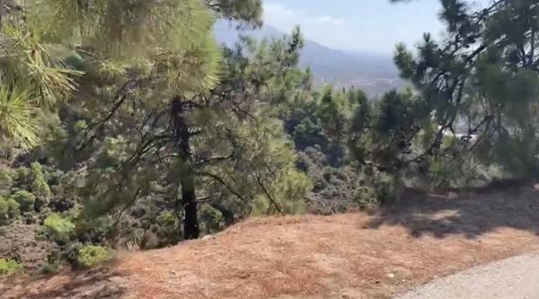 Terreno en El Madroñal, 72