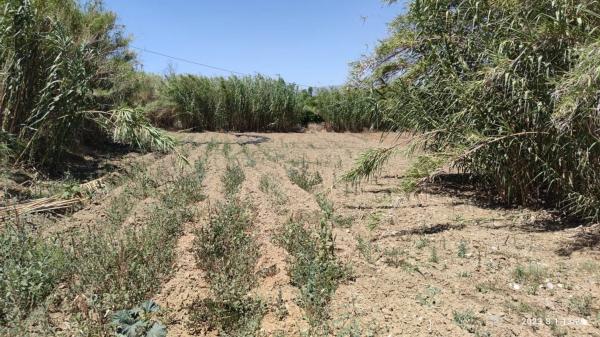 Terreno en Partida río grande, 20