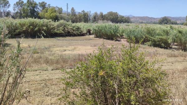 Terreno en Partida río grande, 20
