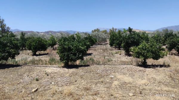 Terreno en Partida río grande, 20