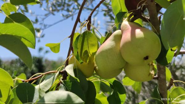 Terreno en Partida río grande, 20