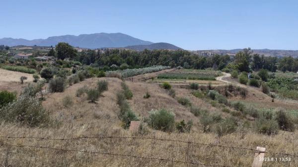 Terreno en Partida río grande, 20