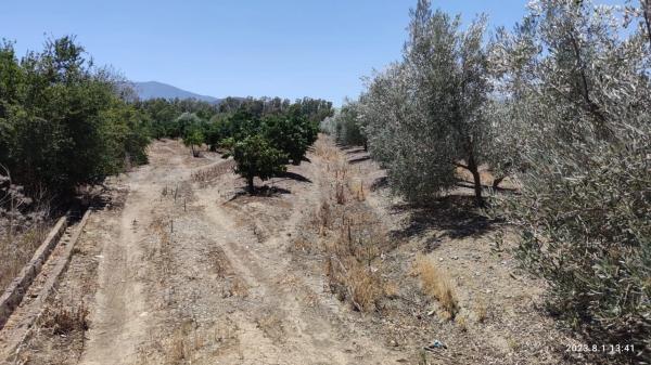 Terreno en Partida río grande, 20