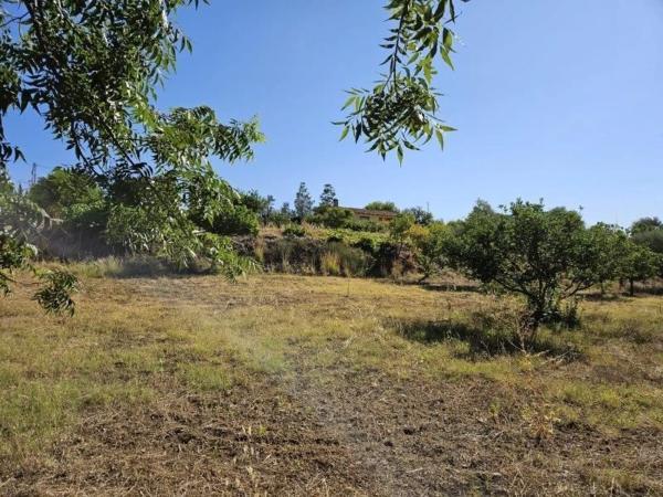 Terreno en La Cala Golf - Lagar Martell