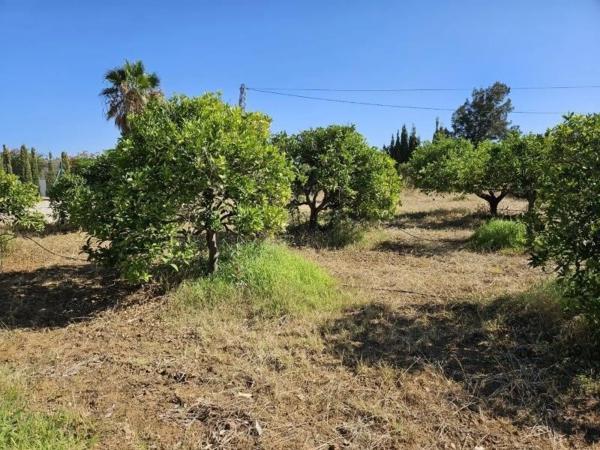 Terreno en La Cala Golf - Lagar Martell