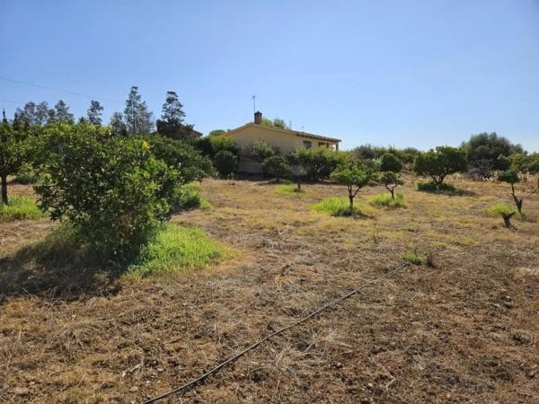 Terreno en La Cala Golf - Lagar Martell