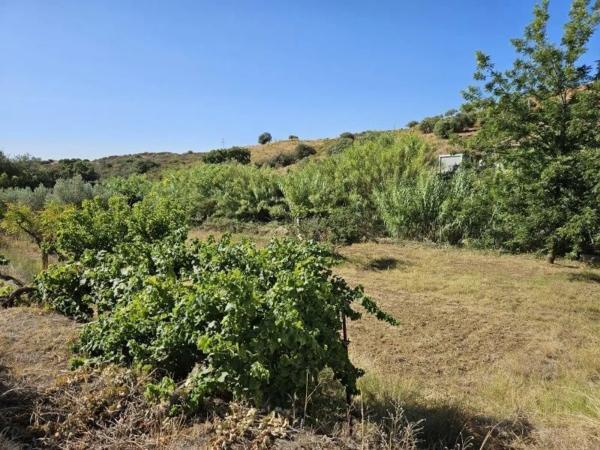 Terreno en La Cala Golf - Lagar Martell
