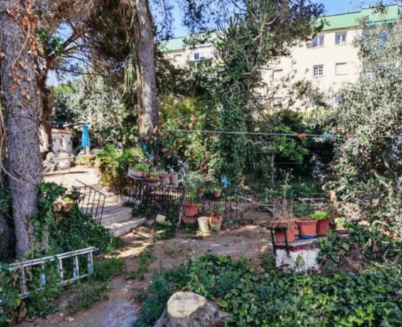 Terreno en calle Ramos Puente, 7