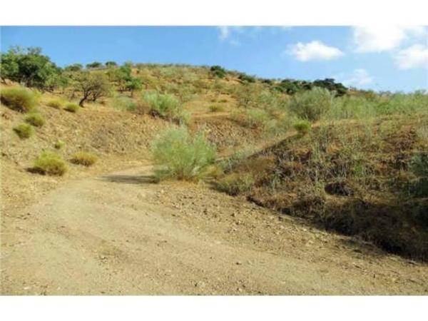 Terreno en Los Cerrajones