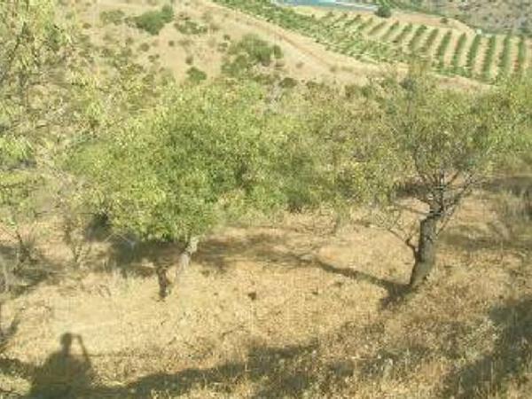 Terreno en Los Cerrajones