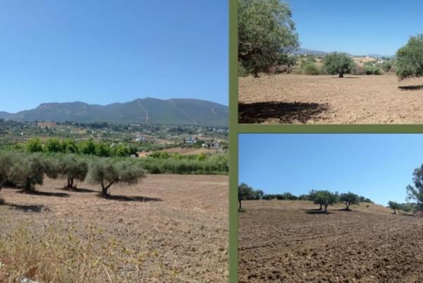 Terreno en camino de cartama, poligono 8