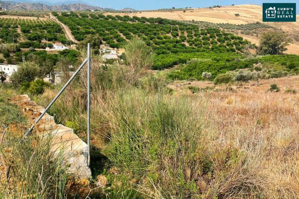 Terreno en Arroyo de Cazalla s/n