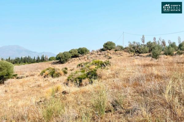 Terreno en Arroyo de Cazalla s/n