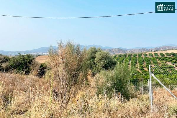 Terreno en Arroyo de Cazalla s/n