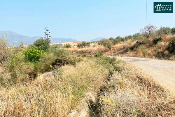 Terreno en Arroyo de Cazalla s/n