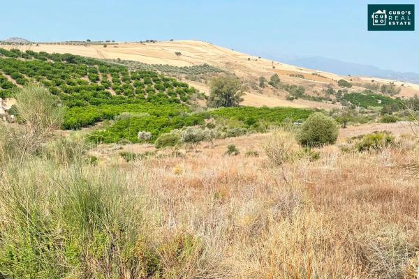 Terreno en Arroyo de Cazalla s/n