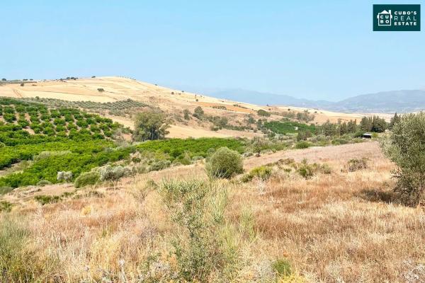 Terreno en Arroyo de Cazalla s/n