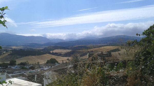 Terreno en calle Cerrillo, 22