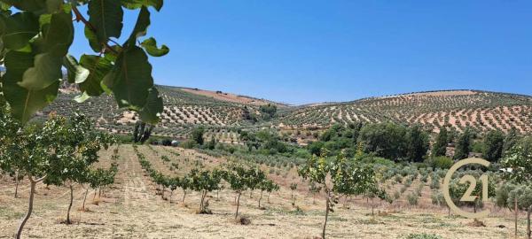 Terreno en calle Caminillos, km 347