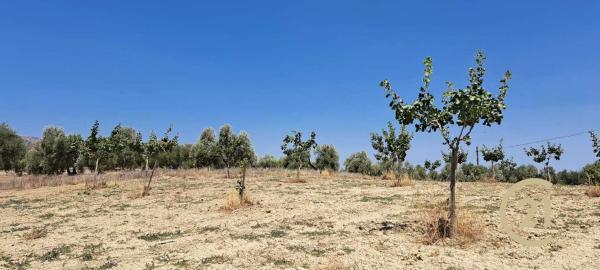 Terreno en calle Caminillos, km 347