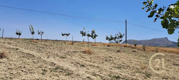Terreno en calle Caminillos, km 347