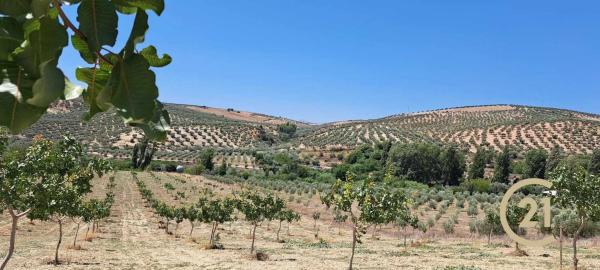 Terreno en calle Caminillos, km 347