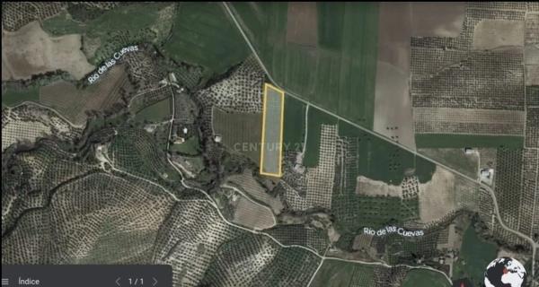 Terreno en calle Caminillos, km 347