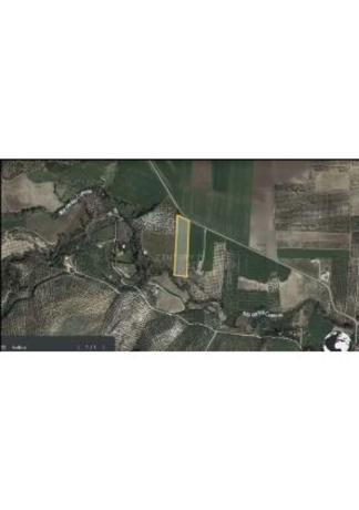 Terreno en calle Caminillos, km 347