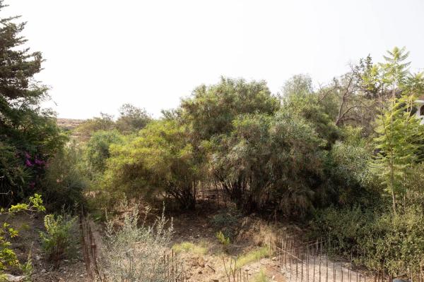 Terreno en Urbanización Pueblo Vista Verde
